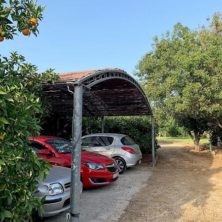 Casa rural con encanto con piscina y campo privado Villa Pedreguer Exterior foto