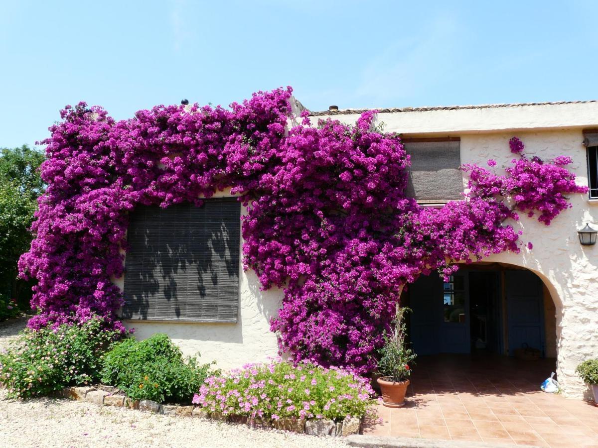 Casa rural con encanto con piscina y campo privado Villa Pedreguer Exterior foto